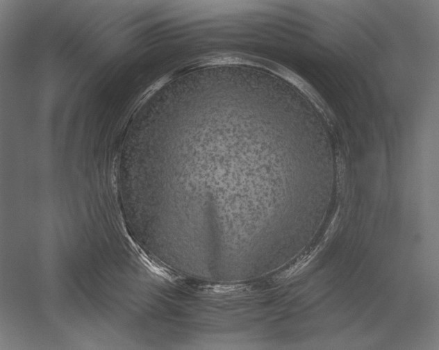 X0000051240857200507011624