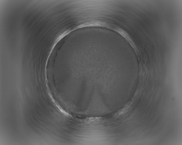 X0000051240858200507011624