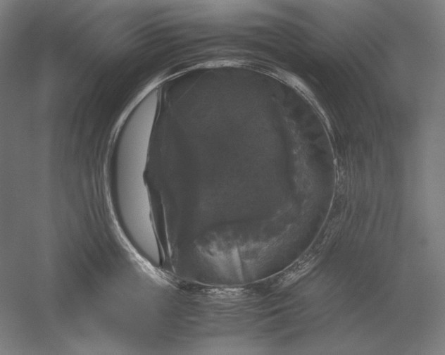 X0000051240859200507011624