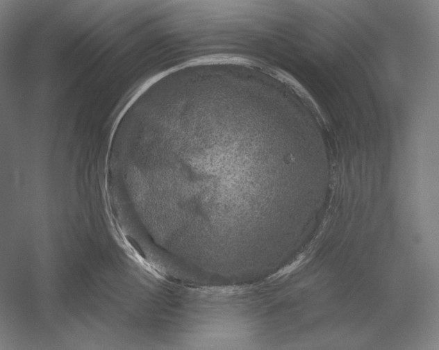 X0000051240860200507011624