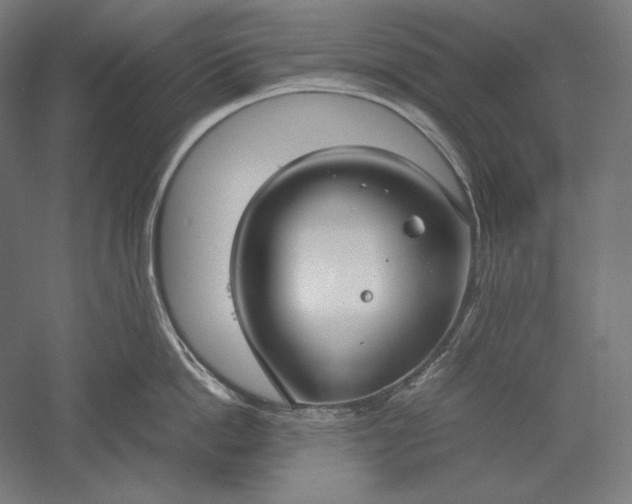 X0000051240862200507011624