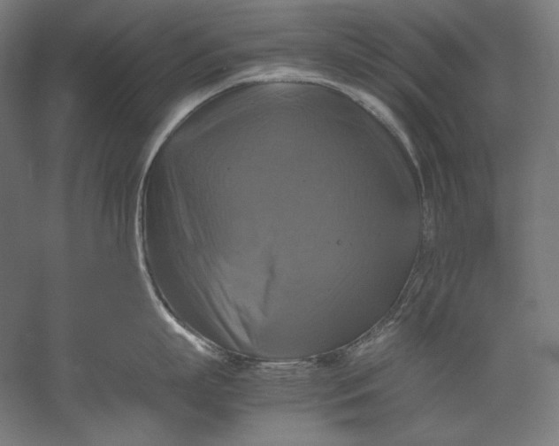 X0000051240863200507011624