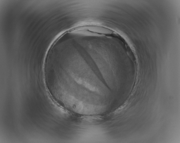 X0000051240864200507011624