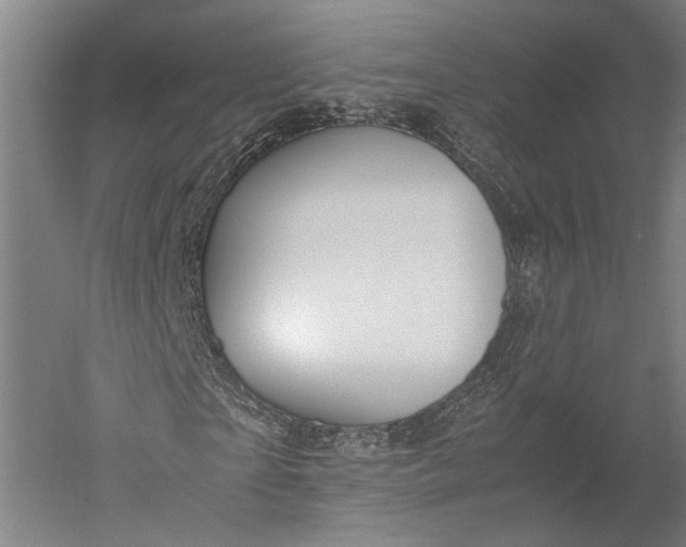 X0000051240865200507011623