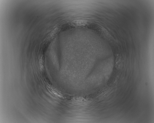 X0000051240866200507011623