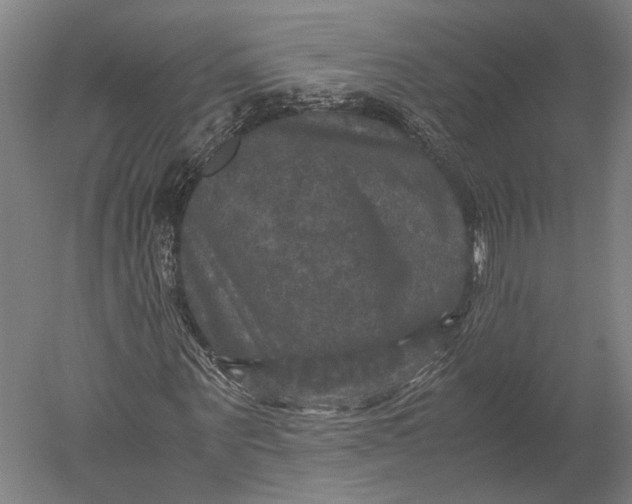 X0000051240867200507011623