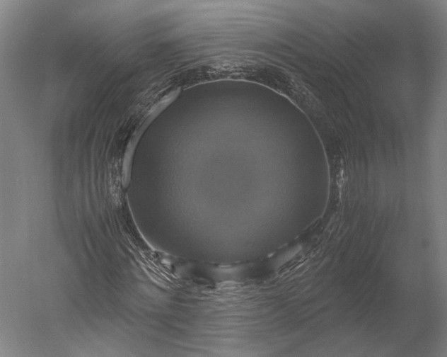 X0000051240868200507011623