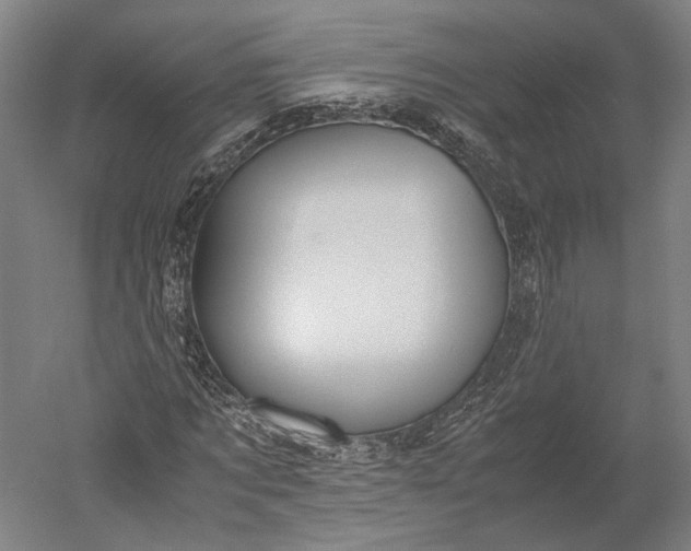 X0000051240869200507011623