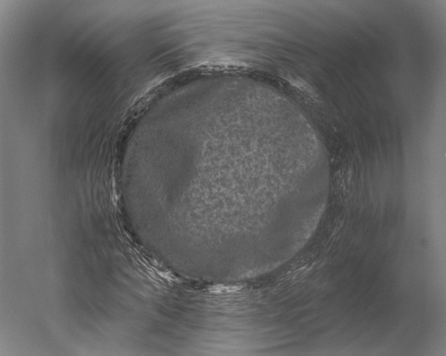 X0000051240870200507011623