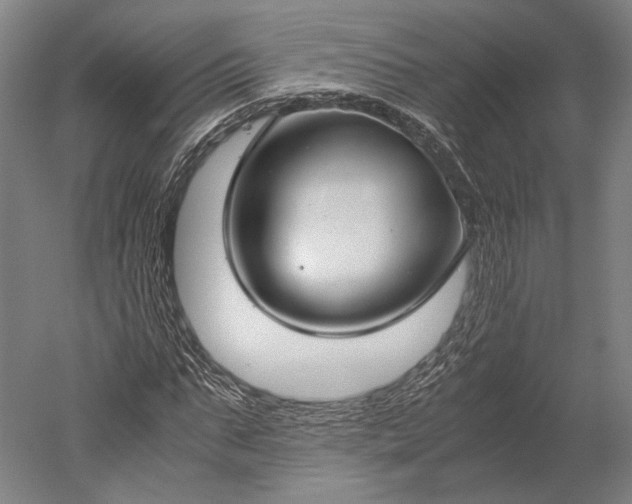 X0000051240871200507011623