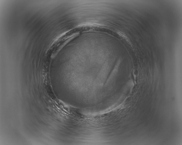 X0000051240872200507011623