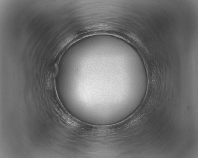 X0000051240873200507011623