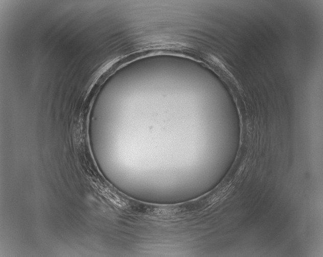 X0000051240875200507011623