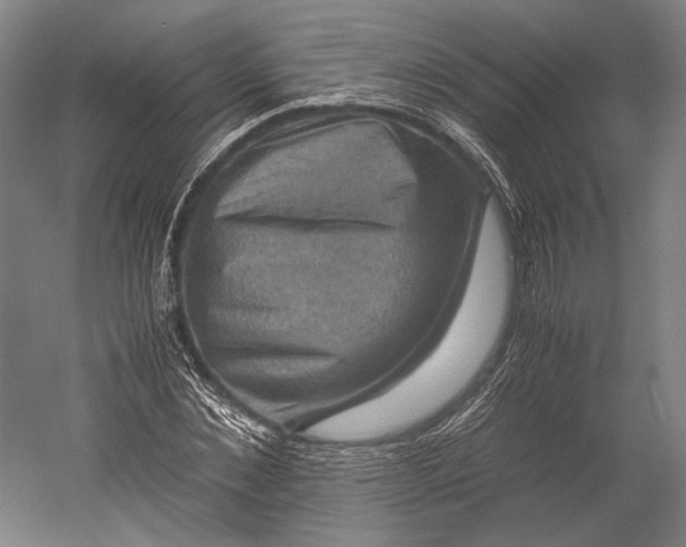 X0000051240876200507011623