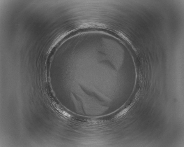 X0000051240877200507011623