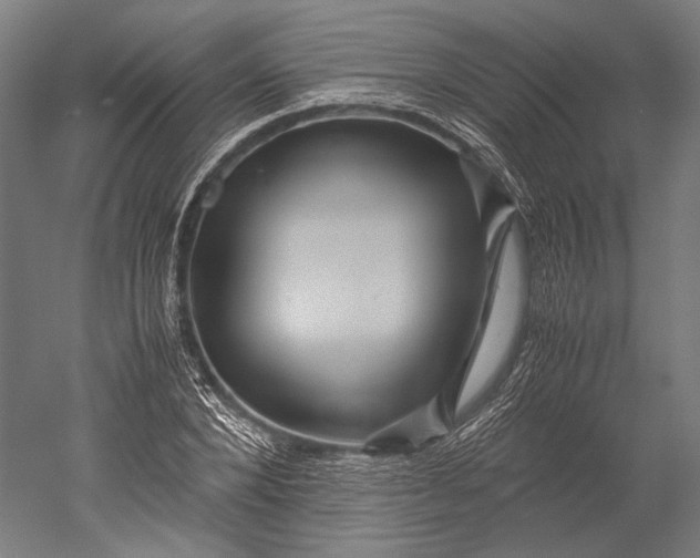 X0000051240880200507011623