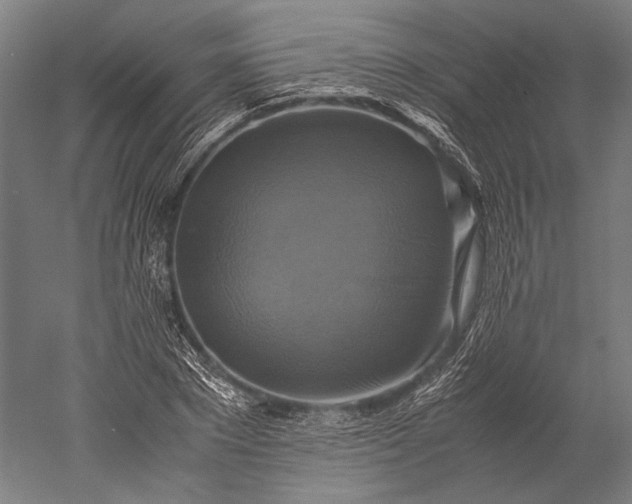 X0000051240881200507011623