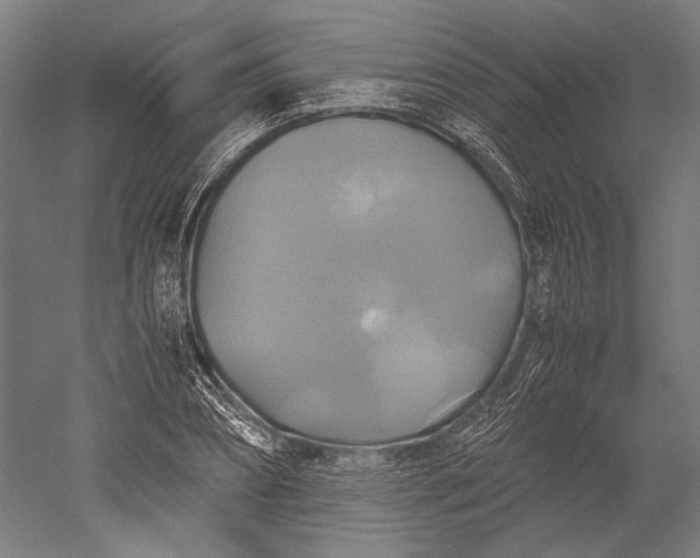 X0000051240882200507011623