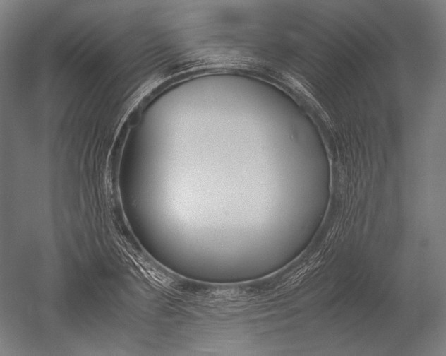 X0000051240883200507011623