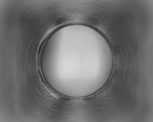 X0000051240886200507011623