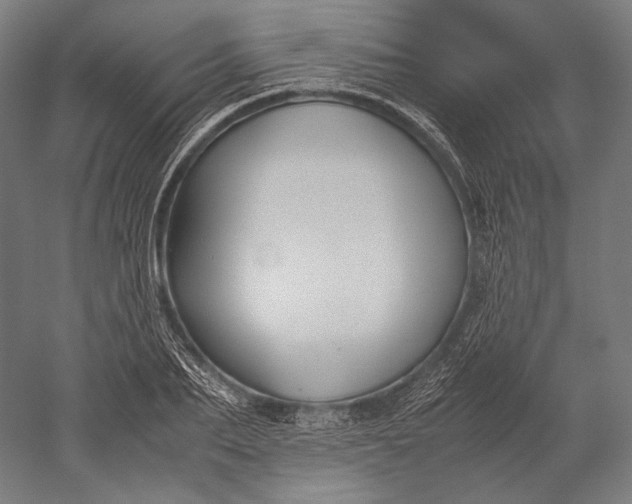 X0000051240887200507011623