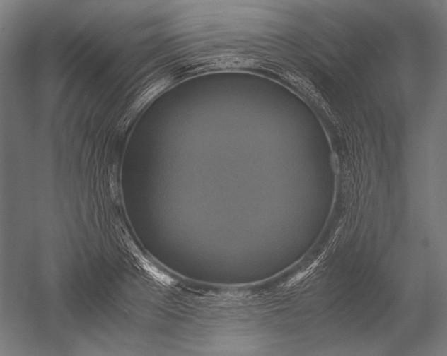 X0000051240889200507011623