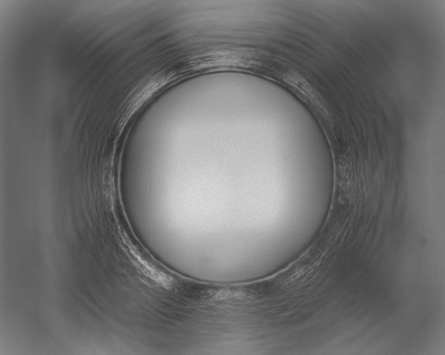 X0000051240890200507011623