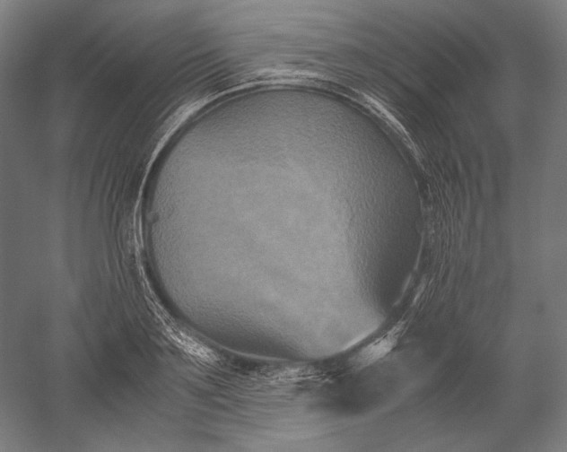 X0000051240891200507011623