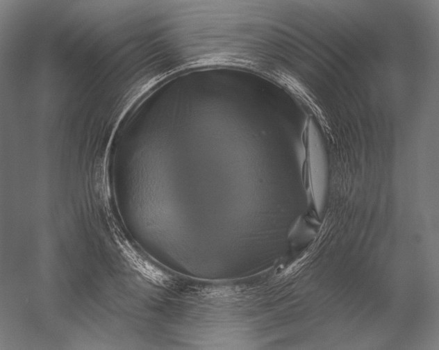 X0000051240892200507011623