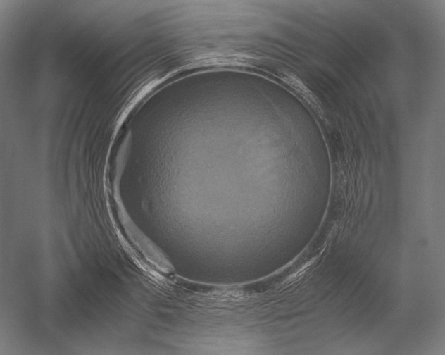 X0000051240893200507011623