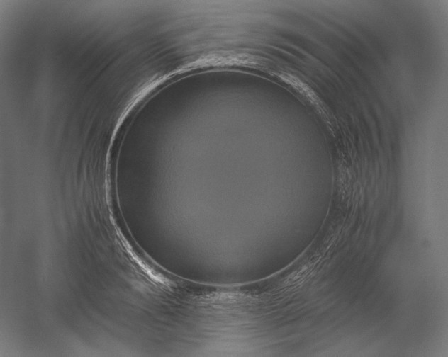 X0000051240894200507011623