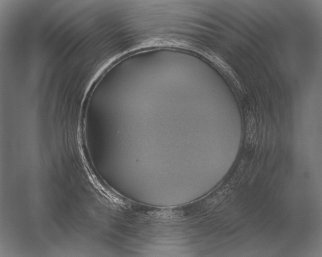 X0000051240896200507011623