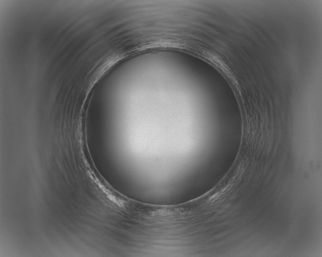 X0000051240898200507011623