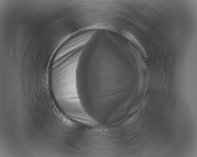 X0000051240900200507011623