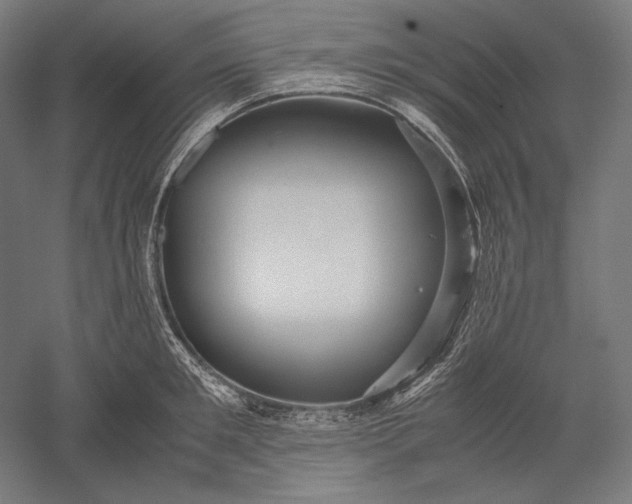 X0000051240901200507011623