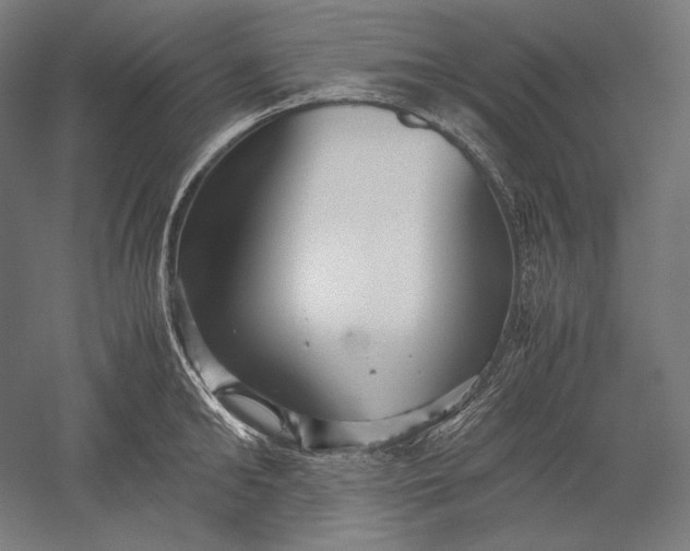 X0000051240902200507011623