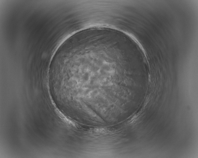 X0000051240903200507011623