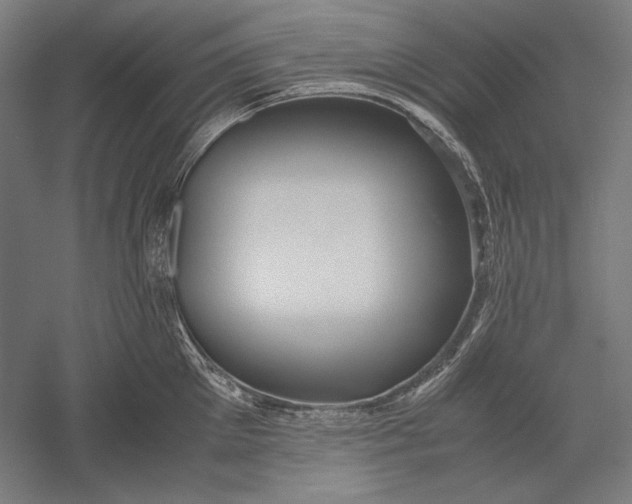 X0000051240905200507011623