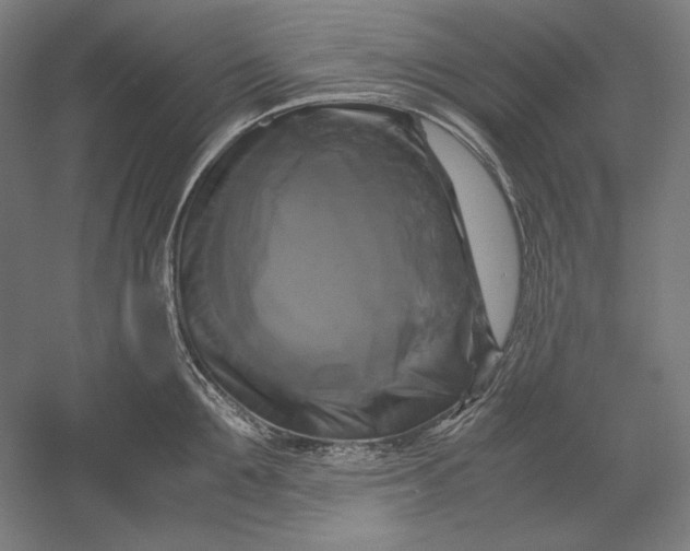 X0000051240907200507011623