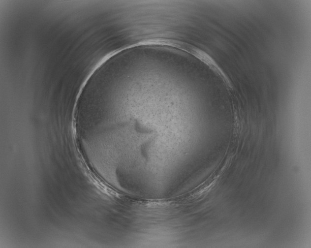 X0000051240908200507011623