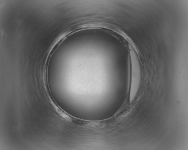 X0000051240909200507011623