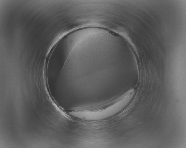 X0000051240910200507011623