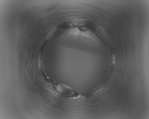 X0000051240915200507011622