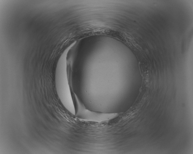 X0000051240916200507011622