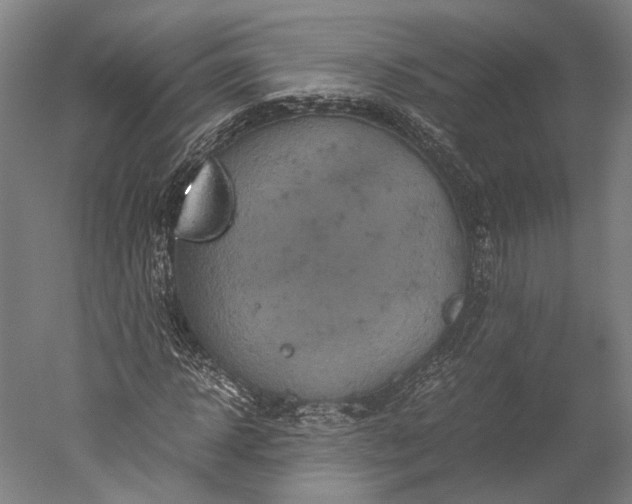 X0000051240918200507011622