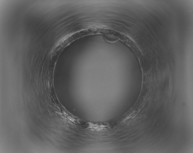 X0000051240919200507011622