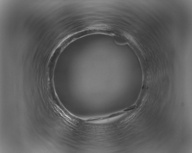 X0000051240923200507011622