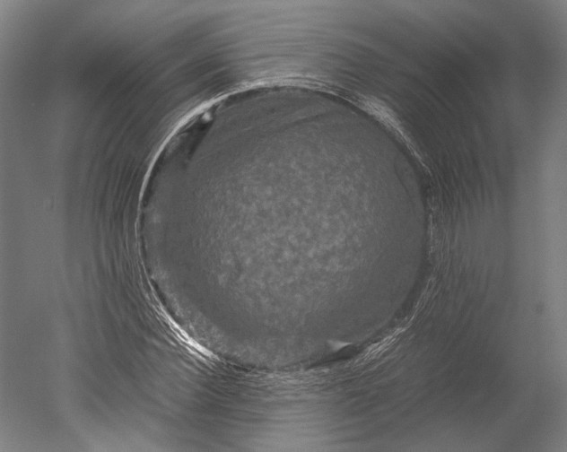 X0000051240924200507011622