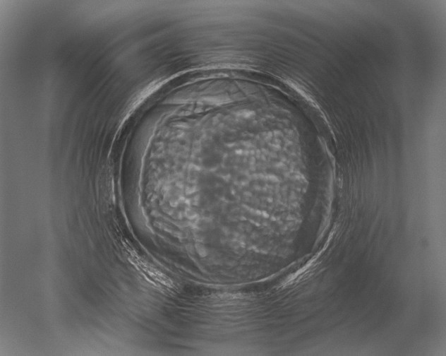 X0000051240925200507011622