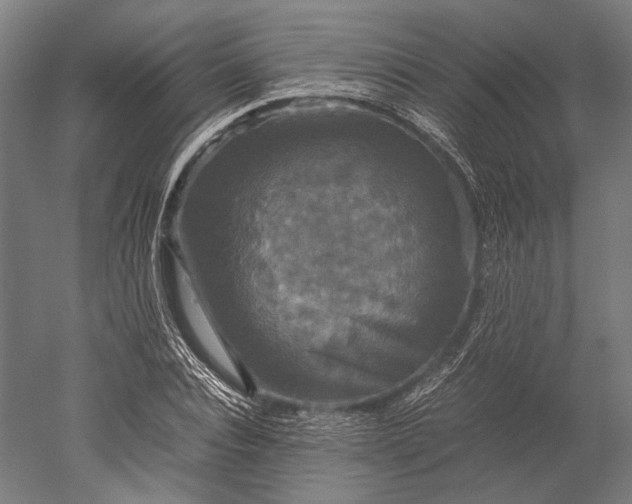 X0000051240928200507011622